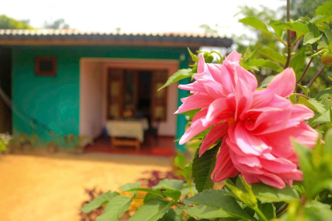 Yoho Nilmini Homestay Ella Zewnętrze zdjęcie